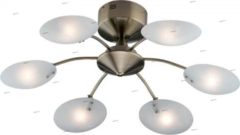 Потолочная люстра Odeon Light Kera 1377/6