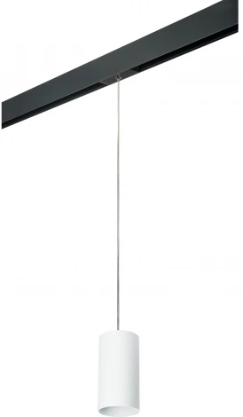 Трековый светильник однофазный 220V Lightstar Rullo PRORP6486 (круглые)