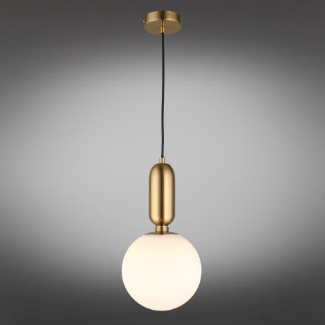 Подвесной светильник Aniela APL.612.26.01 (220V, на проводе, шар)