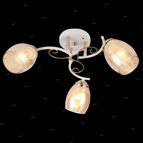 Потолочная люстра J-Light Lossy 1116/3C