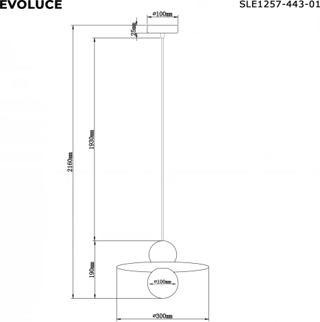 Подвесной светильник Evoluce Rizz SLE1257-443-01 Черный/Черный G9 1*5W 4000K (220V, на проводе, шар)