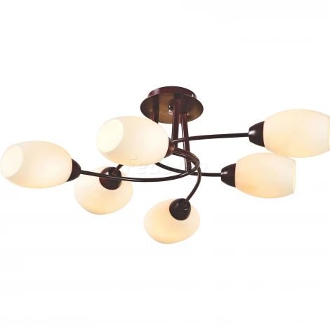 Потолочная люстра Toscom Grums TC-300-506W