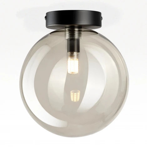 Потолочный светильник в форме шара Citilux Orton CL202511 (220V, шар)