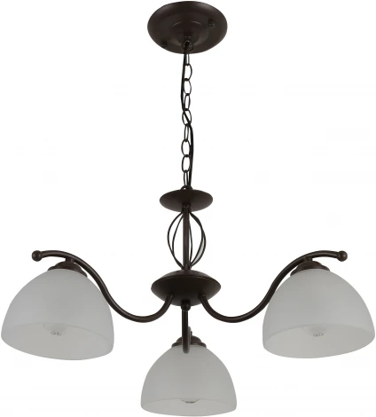 Подвесная люстра Rivoli Jackeline 9141-303 (220V, на цепи)