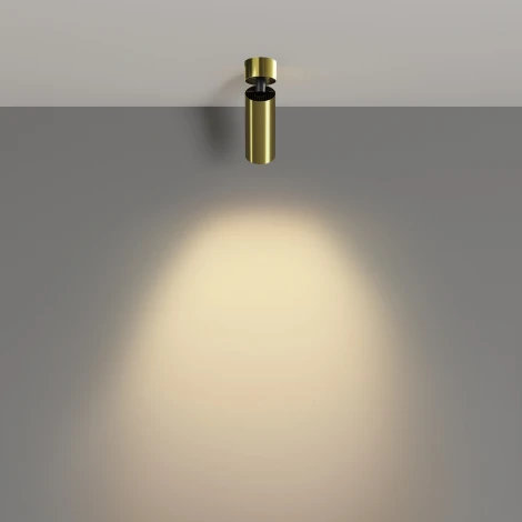 Спот Maytoni Focus Led C055CL-L12W2.7K-W-BS (220V, круглые)