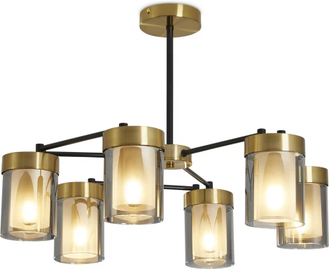 Потолочная люстра на штанге Freya Lora FR5432PL-06BBS (220V)