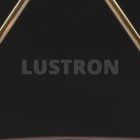 Потолочная люстра Maytoni Eurosize 7 TOC007-08-R