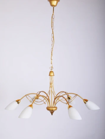 Подвесная люстра Doge Luce 169 169L06FO (220V, на цепи)