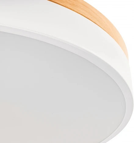 Светильник потолочный светодиодный Ritter Snello 51623 5