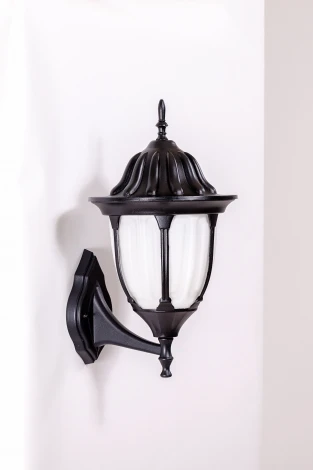 Настенный фонарь уличный Oasis Light GENUYA 92101/04 Bl (220V, фонарь, IP44)