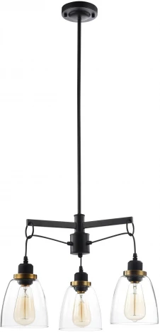 Подвесная люстра Freya Louise FR4167-PL-03-BL