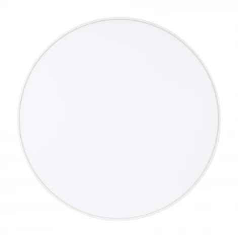 Потолочный светильник LED круглый SP-RONDO-R250-30W Day4000 (WH, 120 deg, 230V) (Arlight, IP40 Металл) 022232(2)