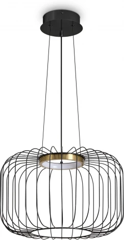 Подвесной светильник Freya Citrus FR5398PL-L8B (LED, 220V, на проводе, клетка)