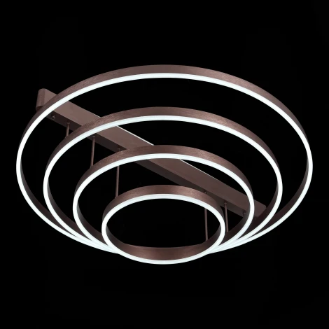 Потолочная люстра ST Luce Onze SL944.402.04