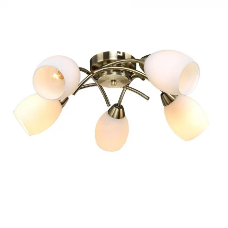 Потолочная люстра Максисвет 8996 1-8996-5-AB E14