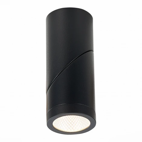 Точечный светильник ST650 ST650.432.10 (220V, IP44)