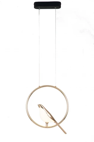 Подвесной светильник Divinare Summer 1188/06 SP-6 (LED, 220V, на проводе, кольцо, птички)