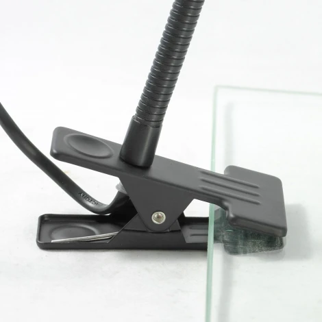 Офисная настольная лампа Lussole Loft Roma GRLST-4214-01