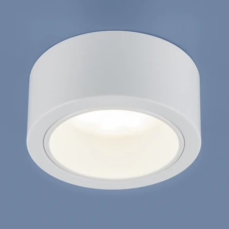 Накладной точечный светильник Elektrostandard 1070 GX53 WH белый (220V)