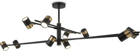 Потолочная люстра на штанге Freya Enzo FR5201PL-10B (220V)