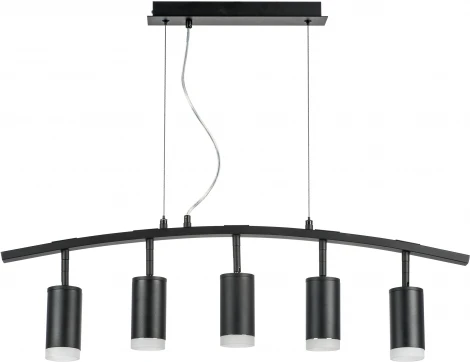 Подвесной светильник Rullo LR7353750 (571735+214437-5+202430-5) (220V, на тросе)