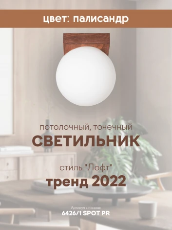 Потолочный светильник прямоугольный Мелодия Света SS1N 000036820