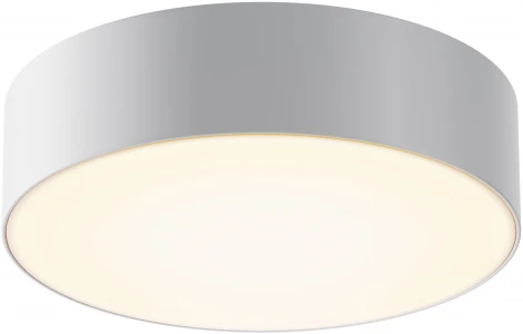 Потолочный светильник уличный Maytoni Zon IP O431CL-L30W3K (LED, 220V)