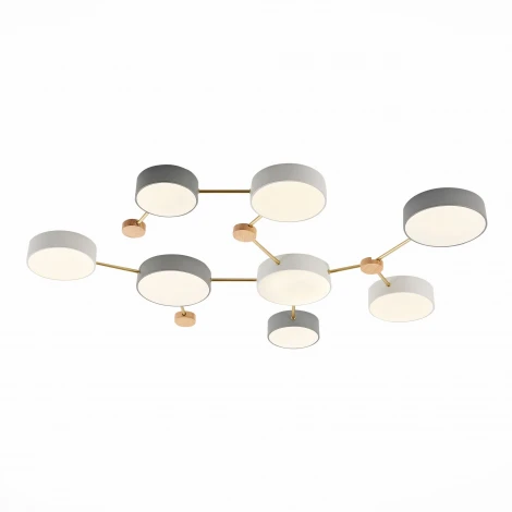 Потолочная люстра Evoluce Dossena SLE600102-08 (LED, 220V)