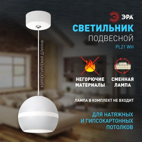 Подвесной светильник ЭРА PL21 WH (220V, на проводе, шар)