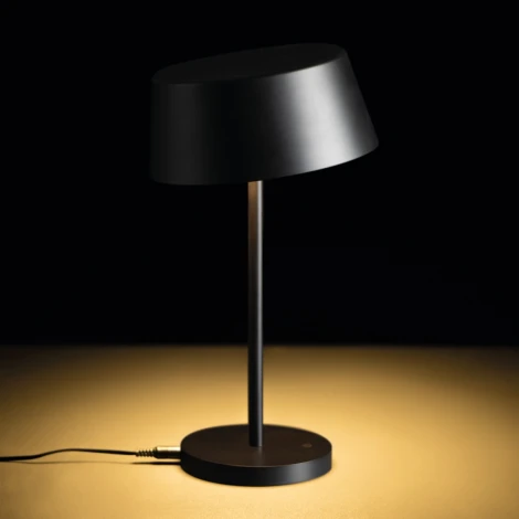 Интерьерная настольная лампа светодиодная Kanlux DAIBO 33220