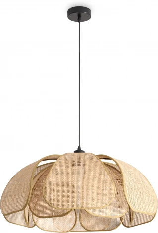 Подвесной светильник Freya Cocoon FR5529PL-01B (220V, на проводе)