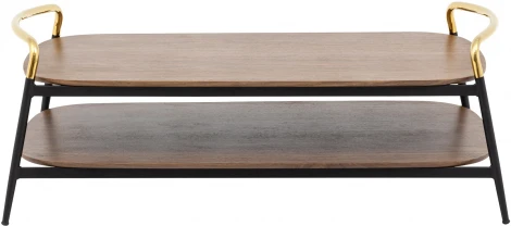 Журнальный столик Stool Group Нолан 120*60 темное дерево УТ000035756