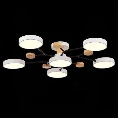 Потолочная люстра на штанге Evoluce Faema SLE6006-502-06