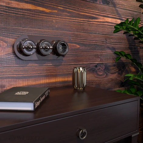 Выключатель на 4 положения двухклавишный (коричневый) Ретро Werkel W5620014 (a051052)