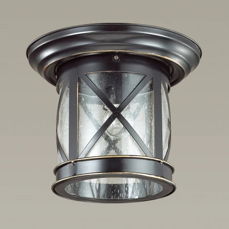 Потолочный светильник уличный Odeon Light Sation 4045/1C (220V, IP44)