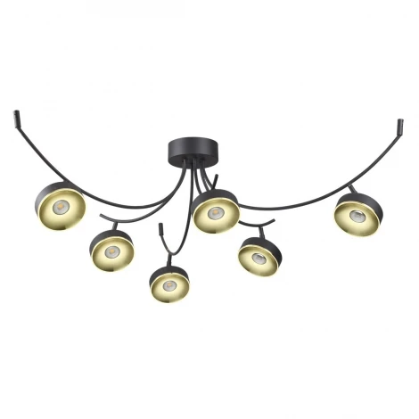 Потолочная люстра Odeon Light Fineca 3812/42CL