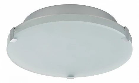 Настенно-потолочный светильник Paulmann Xeta 70276