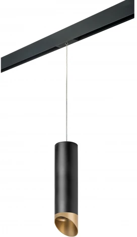 Трековый светильник однофазный 220V Lightstar Rullo PRORP6497190 (круглые)