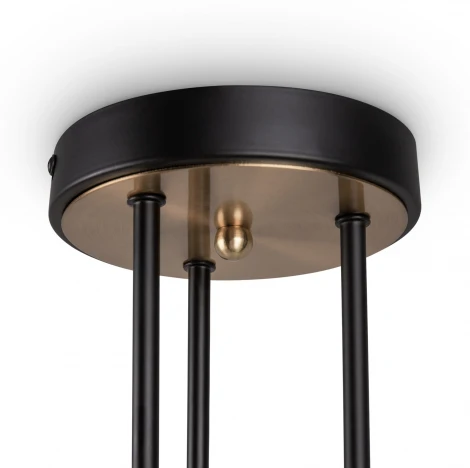 Потолочная люстра на штангу Freya Bogy FR5377CL-06B (220V)