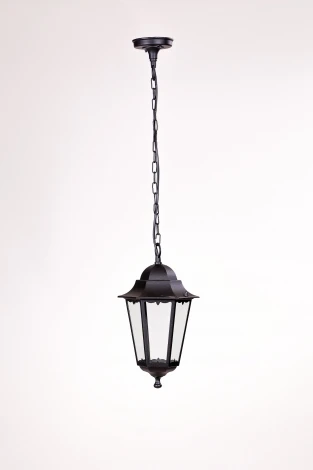Уличный светильник подвесной Oasis Light 79805M Bl (220V, на цепи, IP44)