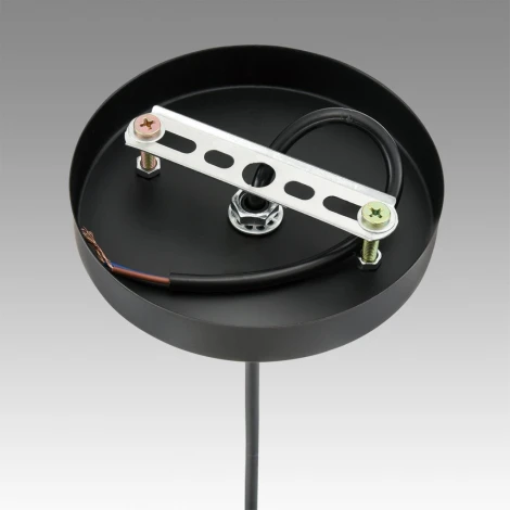 Подвесной светильник Lumion Elenika 8056/1А черный/амбер металл/стекло E27 1*60W 220V