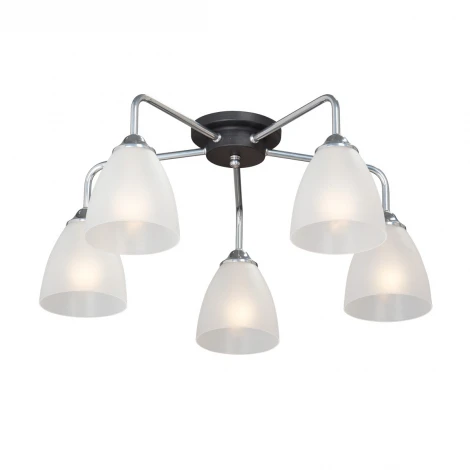 Потолочная люстра Vitaluce V4500-9/5PL (220V)