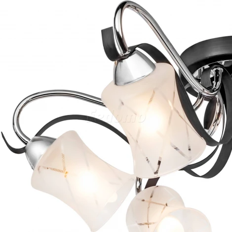 Потолочная люстра Silver Light Mary 214.59.6