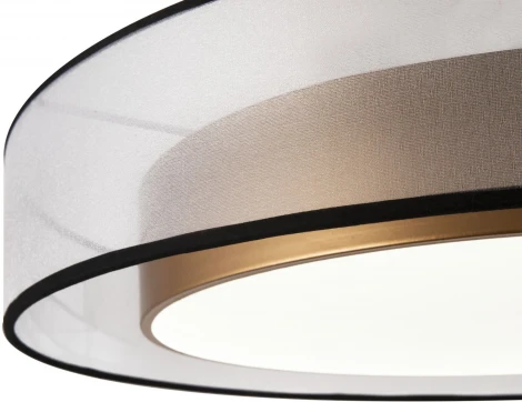 Потолочный светильник круглый Freya Zoticus FR6005CL-L48G (LED, 220V, круглые)