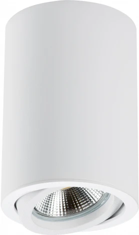 Накладной точечный светильник Lightstar Rullo 214406 (220V, круглые)