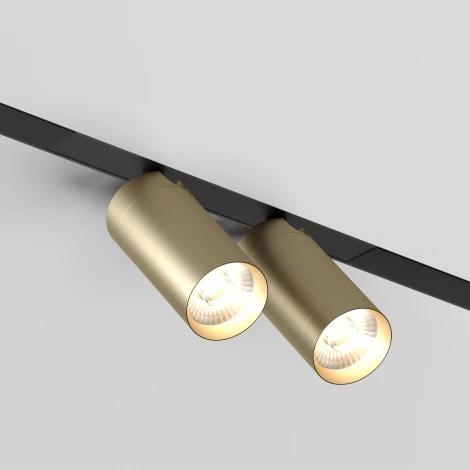 Трековый светильник Denkirs Smart Spot DK8012-BG (LED, 220V, управление смартфоном, голосовое управление, умный дом - Алиса)