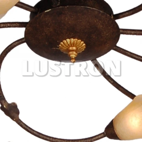 Потолочная люстра Arte Lamp Joy A1050PL-8BR