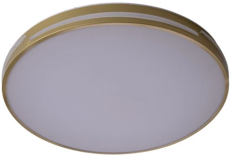 Потолочный светильник круглый со спотами Zortes Gabby ZRS.90610.50 (LED, 220V, круглые)