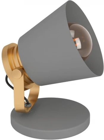 Интерьерная настольная лампа с выключателем Eglo TWICKEN 43841 (220V)