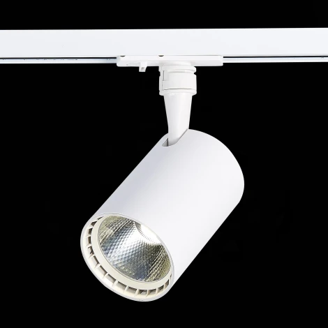 Трековый светильник ST Luce Cami ST351.536.15.24 (LED, 220V, круглые, IP22)
